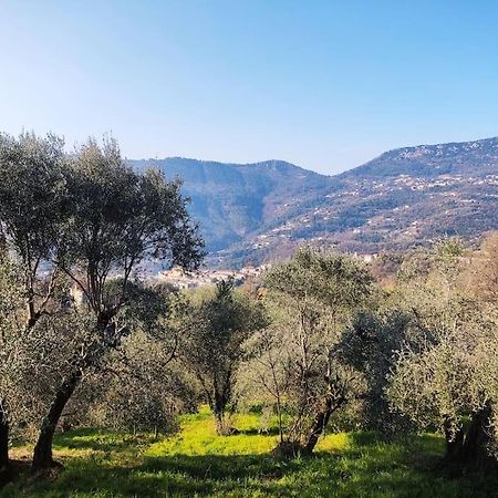 Bas De Villa. Cote D'Azur, A 20 Kms De Nice Contes  Exteriör bild