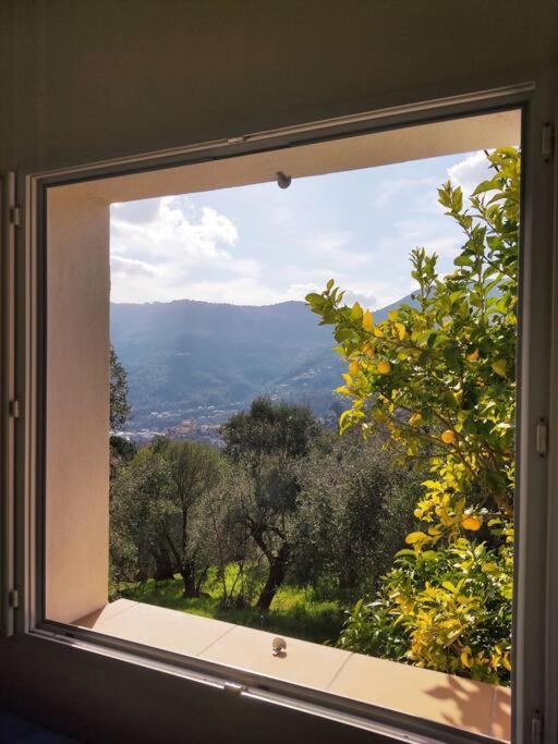 Bas De Villa. Cote D'Azur, A 20 Kms De Nice Contes  Exteriör bild